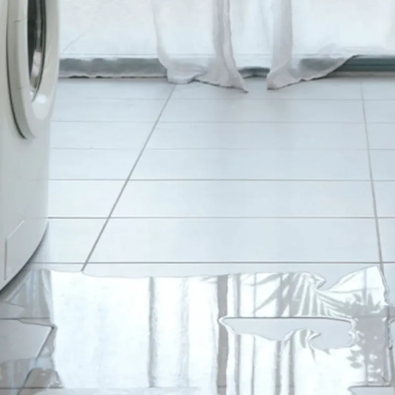 Appliance Leak Cleanup in Balm, FL